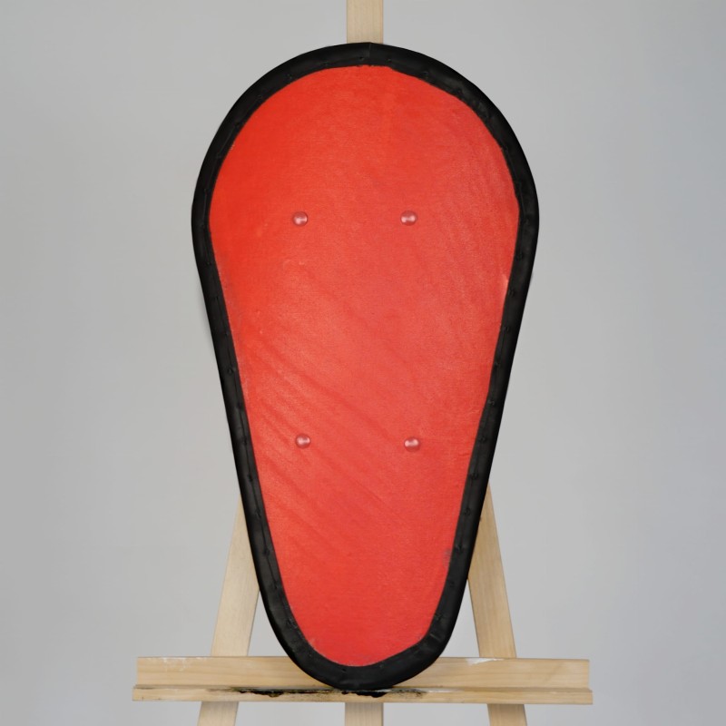 Buhurt shield basic type 1.JPG