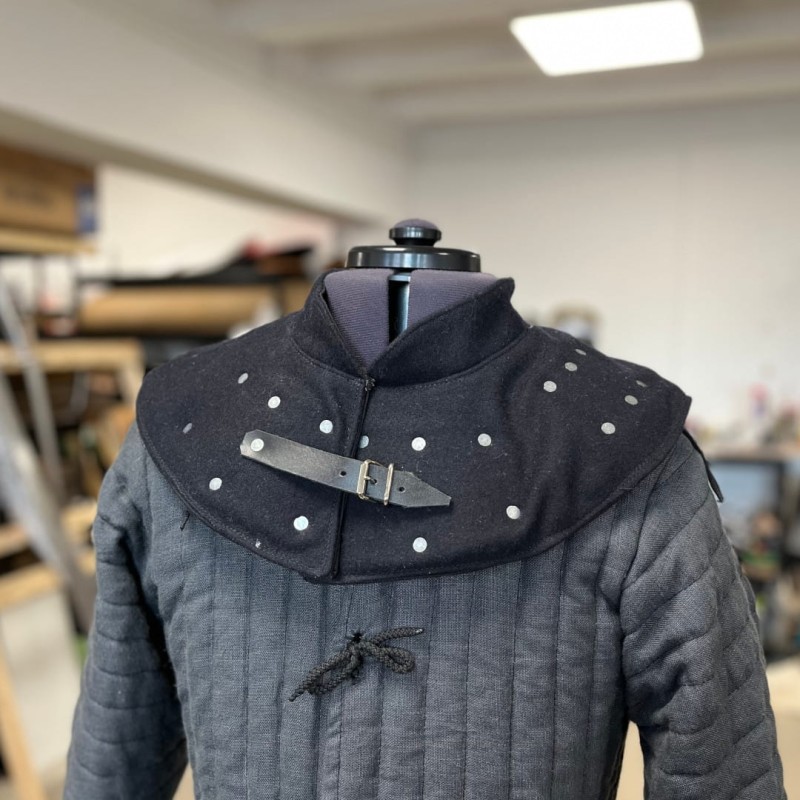 Collar with plates.JPG