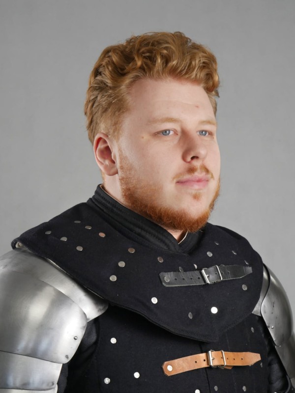 Collar with plates1.JPG