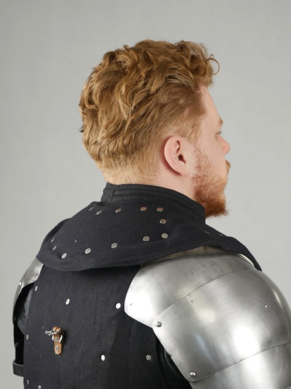 Collar with plates2.JPG
